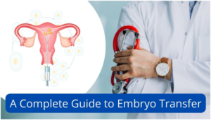 Embryo Transfer